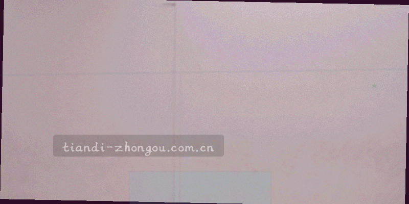 盾牌形状与数据节点组成的图形